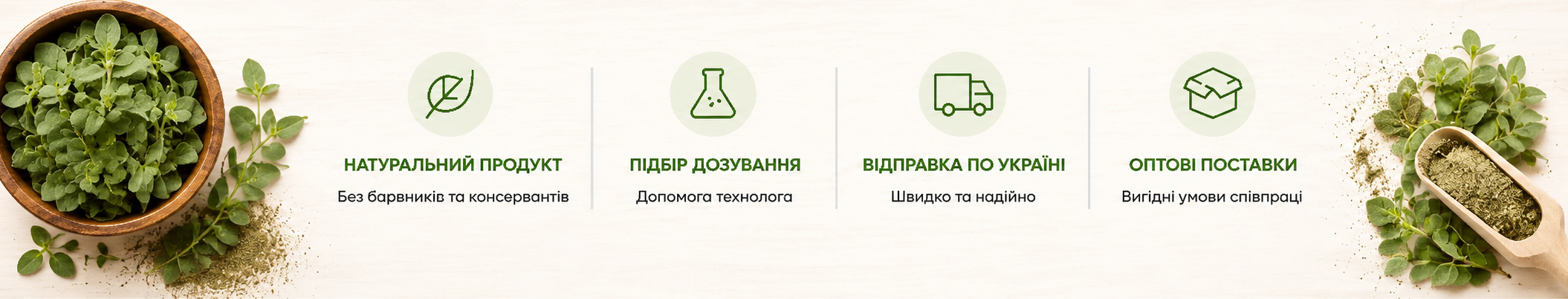 World of Spices